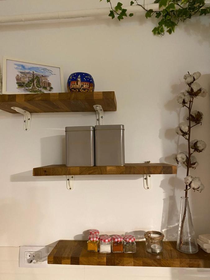Helga'S Place Premium 1 Bedroom Condo 克卢日-纳波卡 外观 照片