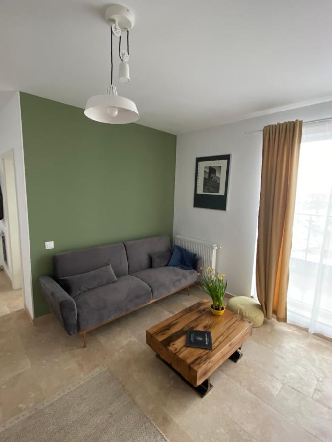 Helga'S Place Premium 1 Bedroom Condo 克卢日-纳波卡 外观 照片